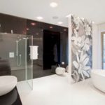 Black and white zoning and lighting bathroom