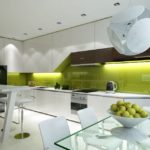 Șorț de bucătărie lucioasă modernă de culoare măslin