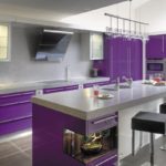 Violeta virtuve ar integrētu tehniku