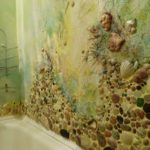 Trang trí phòng tắm dát vỏ sò biển