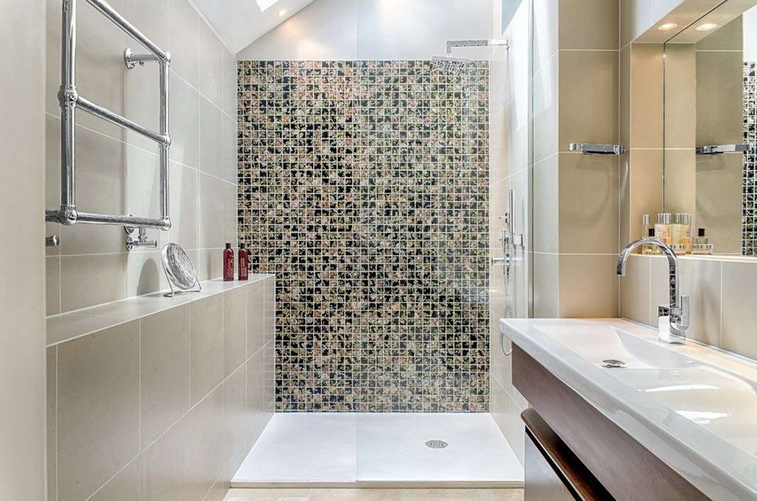 salle de bain avec douche