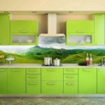 intérieur de photo de cuisine verte