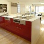 an example of a bright design of a red kitchen picture