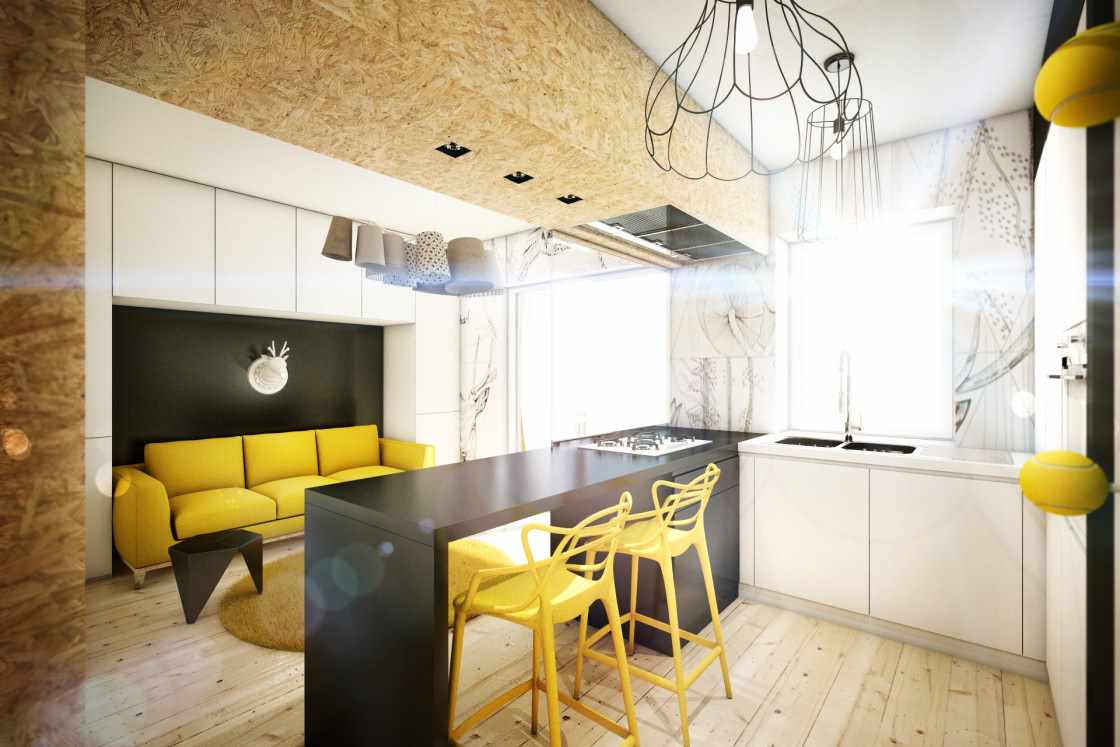 Un exemple d'une belle pièce à vivre cuisine de 16 m²