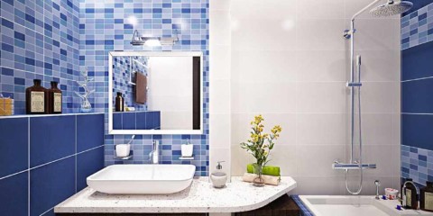 l'idée d'un beau style de l'image de la salle de bain