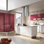 idea of ​​an unusual interior of red kitchen photo