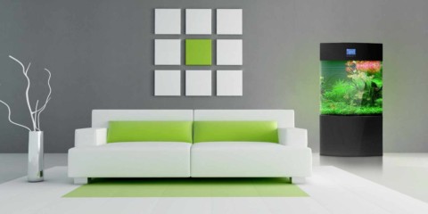 ideea de a folosi un decor neobișnuit al unei camere de zi în stilul fotografiei minimalismului