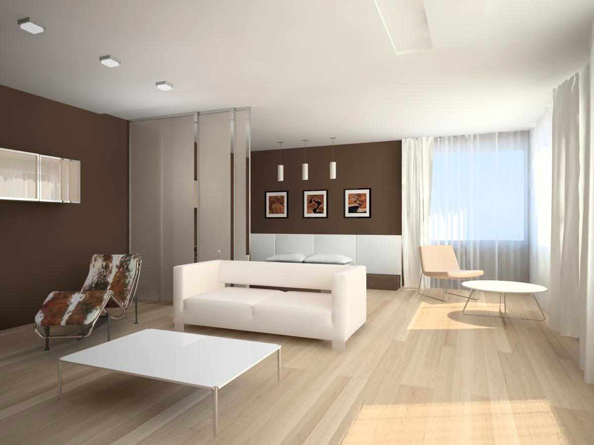 option of using a light living room design in a minimalist style