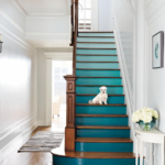 petit chien dans les escaliers