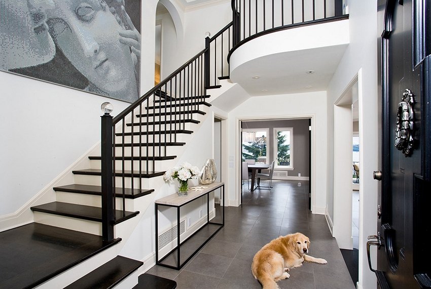 Câine mare pe podeaua holului cu scări