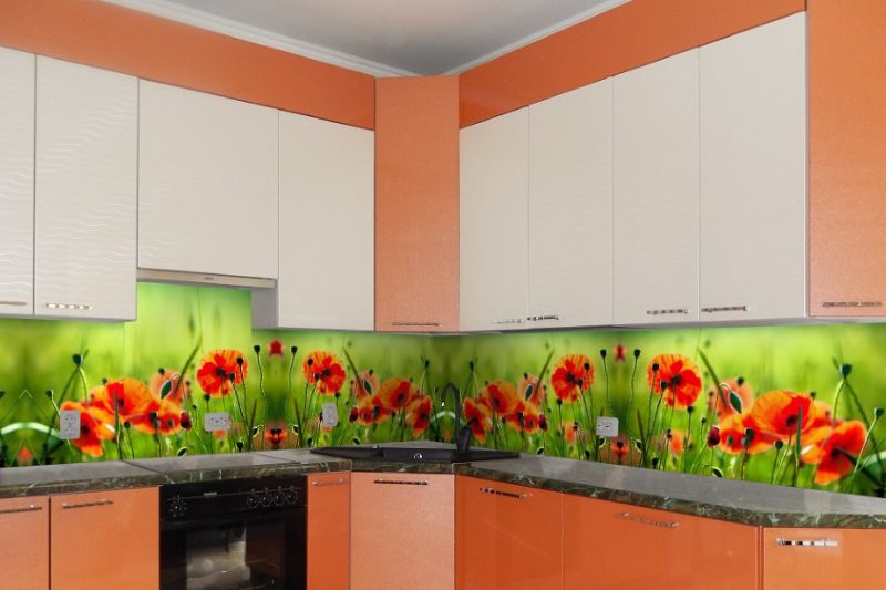 ساحة مع طباعة الصور في المطبخ مع مجموعة برتقالية