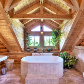 Cây trong nhà với một trần nhà bằng gỗ