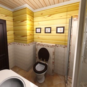 Özel bir evin banyosunda koyu kahverengi kapı