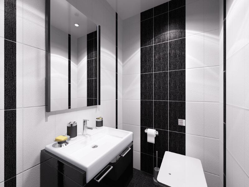 Black and white interior of a small toilet