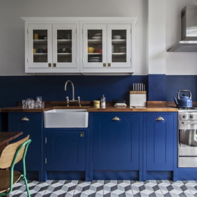 Mutfakta duvar rengi fikir seçenekleri