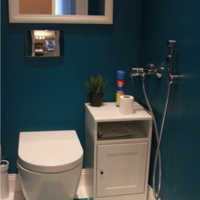 Mavi duvarlı tuvalet tasarımı