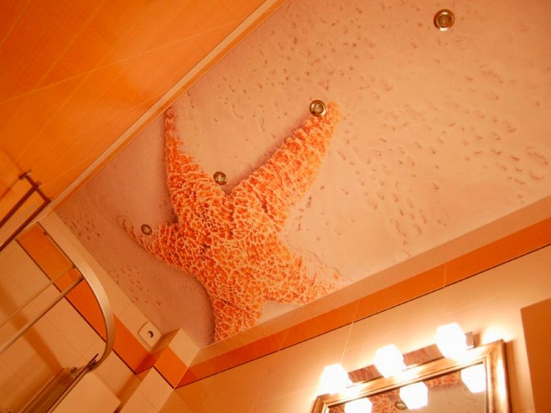 Hình ảnh sao biển trên trần nhà với in ảnh