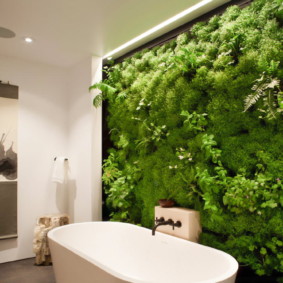 idées d'intérieur d'appartement de style écologique