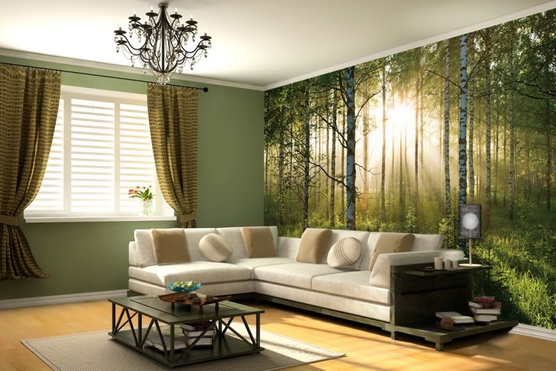 photo wallpaper in the living room decor photo