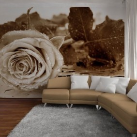 Photo wallpaper in the living room photo design