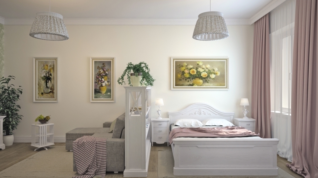 camera de zi și dormitorul într-o fotografie de design a unei camere