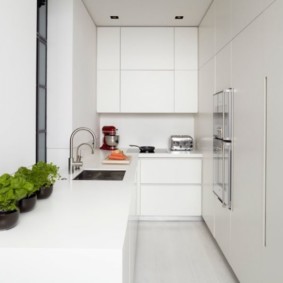 Cozinha minimalista estreita