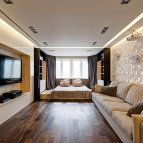 شقة استوديو مع سرير وصورة ديكور أريكة