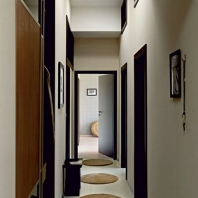 hành lang trong một căn hộ trong một bảng điều khiển ý tưởng nội thất