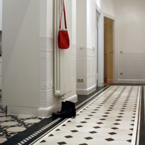 floor design in the hallway photo options