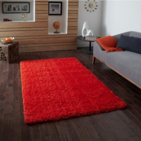 Red carpet on the dark floor