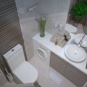 Thiết kế phòng tắm kết hợp trong một căn hộ nhà bảng