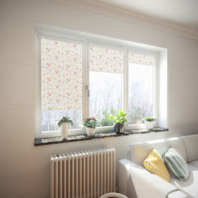 Roller blinds on a plastic window
