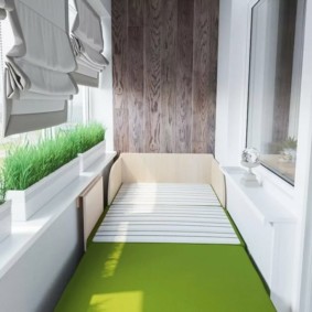 تزايد الخضر في حاويات على الشرفة