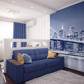 20 kv.m dzīvojamās istabas guļamistabas dizaina foto