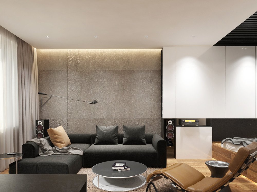 ספה אפורה בדירת רווקים בסגנון מודרני