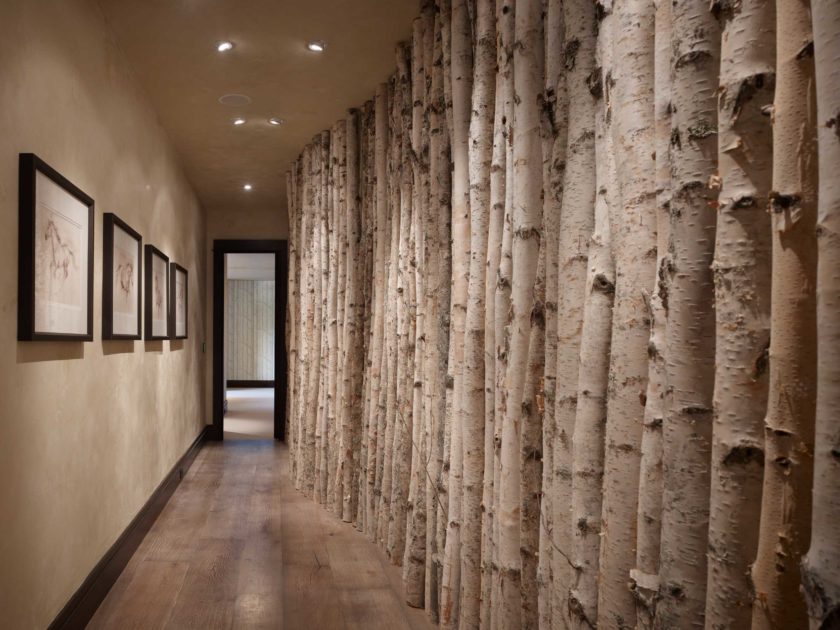 Troncs d'arbres à l'intérieur d'un couloir étroit