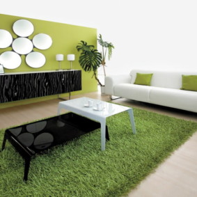 غرفة المعيشة في الديكور الصورة الخضراء