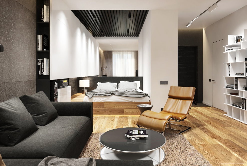 Appartement design de 36 m² dans un style moderne