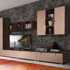 Tường TV trong ý tưởng trang trí phòng khách