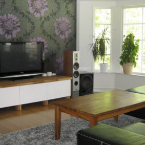 wall for a TV in the living room photo ideas