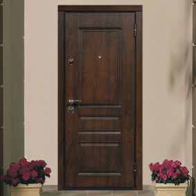 entrance doors to the apartment