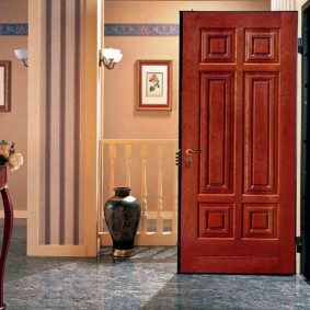 entrance doors to the apartment interior