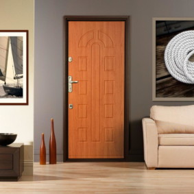 entrance doors to the apartment photo options