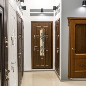 entrance doors to the apartment ideas views