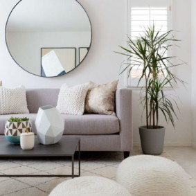 mirrors in the interior of the living room photo design