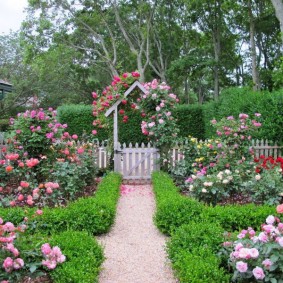Skaists priekšējais dārzs ar ziedošām rozēm