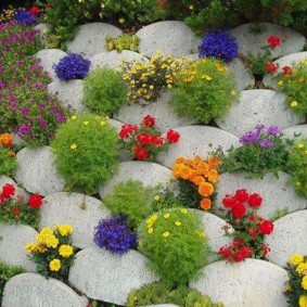 Oval beton fayans çiçek yatak