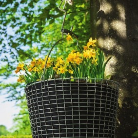Pots de fleurs suspendus sur un arbre dans un jardin d'été