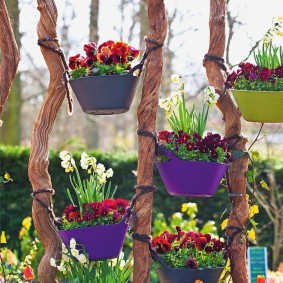 Pots de fleurs sur des piquets en bois