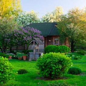 Rus tarzı bahçe tasarımı